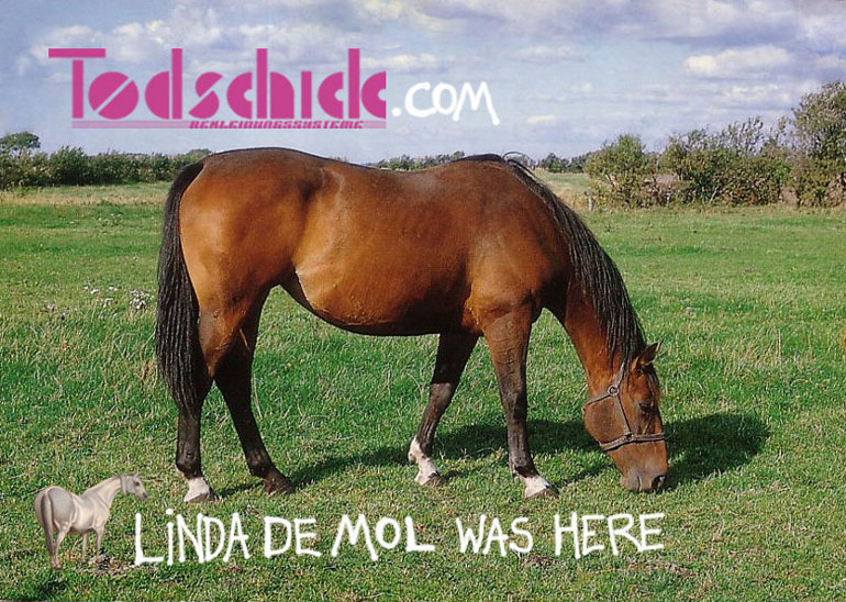 Fashion for ev'ry planet